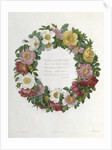 Christmas Roses by Pierre Joseph Redouté