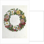 Christmas Roses by Pierre Joseph Redouté