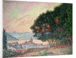 Forest near St. Tropez, 1902 by Paul Signac