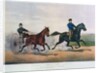 Flora Temple and Lancet racing on the Centreville Course, 1856 by N. and Ives J.M. (1824-95) Currier