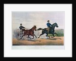 Flora Temple and Lancet racing on the Centreville Course, 1856 by N. and Ives J.M. (1824-95) Currier