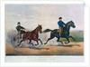 Flora Temple and Lancet racing on the Centreville Course, 1856 by N. and Ives J.M. (1824-95) Currier