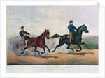 Flora Temple and Lancet racing on the Centreville Course, 1856 by N. and Ives J.M. (1824-95) Currier
