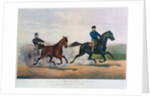 Flora Temple and Lancet racing on the Centreville Course, 1856 by N. and Ives J.M. (1824-95) Currier