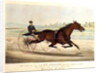 The King of the Turf, 'St. Julien', driven by Orrin A. Hickok, 1880 by N. and Ives J.M. (1824-95) Currier