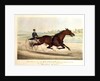 The King of the Turf, 'St. Julien', driven by Orrin A. Hickok, 1880 by N. and Ives J.M. (1824-95) Currier