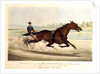 The King of the Turf, 'St. Julien', driven by Orrin A. Hickok, 1880 by N. and Ives J.M. (1824-95) Currier