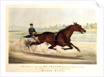The King of the Turf, 'St. Julien', driven by Orrin A. Hickok, 1880 by N. and Ives J.M. (1824-95) Currier