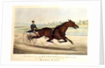 The King of the Turf, 'St. Julien', driven by Orrin A. Hickok, 1880 by N. and Ives J.M. (1824-95) Currier