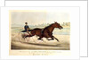 The King of the Turf, 'St. Julien', driven by Orrin A. Hickok, 1880 by N. and Ives J.M. (1824-95) Currier