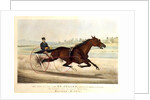 The King of the Turf, 'St. Julien', driven by Orrin A. Hickok, 1880 by N. and Ives J.M. (1824-95) Currier