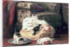 Cat with her Kittens on a Cushion by Henriette Ronner-Knip
