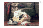 Cat with her Kittens on a Cushion by Henriette Ronner-Knip