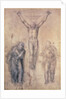 Inv.1895-9-15-509 Recto W.81 Study for a Crucifixion by Michelangelo Buonarroti
