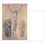 Inv.1895-9-15-509 Recto W.81 Study for a Crucifixion by Michelangelo Buonarroti