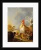 A Group of Farmyard Fowl, 1643 by Gysbert Hondecoeter
