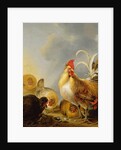 A Group of Farmyard Fowl, 1643 by Gysbert Hondecoeter