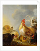 A Group of Farmyard Fowl, 1643 by Gysbert Hondecoeter