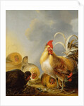 A Group of Farmyard Fowl, 1643 by Gysbert Hondecoeter