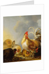 A Group of Farmyard Fowl, 1643 by Gysbert Hondecoeter