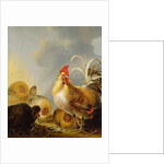 A Group of Farmyard Fowl, 1643 by Gysbert Hondecoeter