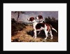 Two Hounds in a Landscape by John Emms
