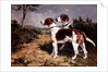 Two Hounds in a Landscape by John Emms