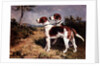Two Hounds in a Landscape by John Emms