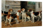 Study of Hounds by John Emms