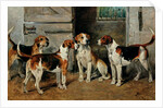 Study of Hounds by John Emms