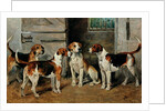 Study of Hounds by John Emms