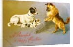 Puppies in the Straw, Victorian postcard by Anonymous