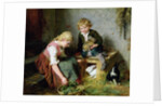 Feeding the Rabbits by Felix Schlesinger