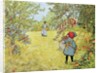The Apple Harvest, 1903 by Carl Larsson