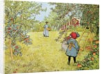 The Apple Harvest, 1903 by Carl Larsson