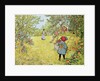 The Apple Harvest, 1903 by Carl Larsson
