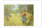 The Apple Harvest, 1903 by Carl Larsson