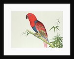 Electus Parrot, on a bamboo shoot, Ch'ien-lung period by Qing Dynasty Chinese School