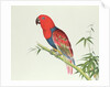 Electus Parrot, on a bamboo shoot, Ch'ien-lung period by Qing Dynasty Chinese School