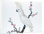 Lesser Lemon Crested Cockatoo, perched on a sprig of flowering Japonica, Ch'ien-lung period by Qing Dynasty Chinese School