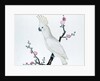 Lesser Lemon Crested Cockatoo, perched on a sprig of flowering Japonica, Ch'ien-lung period by Qing Dynasty Chinese School