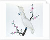 Lesser Lemon Crested Cockatoo, perched on a sprig of flowering Japonica, Ch'ien-lung period by Qing Dynasty Chinese School