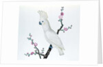 Lesser Lemon Crested Cockatoo, perched on a sprig of flowering Japonica, Ch'ien-lung period by Qing Dynasty Chinese School