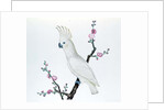 Lesser Lemon Crested Cockatoo, perched on a sprig of flowering Japonica, Ch'ien-lung period by Qing Dynasty Chinese School