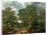 Cornard Wood, near Sudbury, Suffolk, 1748 by Thomas Gainsborough