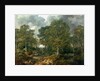 Cornard Wood, near Sudbury, Suffolk, 1748 by Thomas Gainsborough