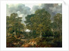 Cornard Wood, near Sudbury, Suffolk, 1748 by Thomas Gainsborough