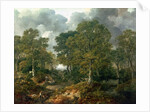 Cornard Wood, near Sudbury, Suffolk, 1748 by Thomas Gainsborough