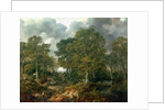 Cornard Wood, near Sudbury, Suffolk, 1748 by Thomas Gainsborough