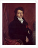 Monsieur de Norvins, 1811-12 by Jean Auguste Dominique Ingres